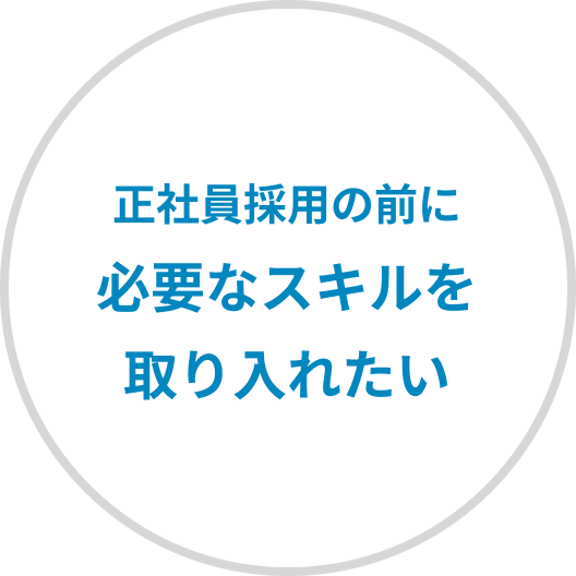 正社員採用の前に
必要なスキルを
取り入れたい